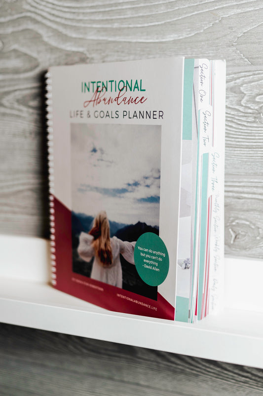 Life & Goals Planner/Workbook